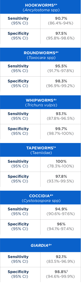 algorithm-performance-chart-new