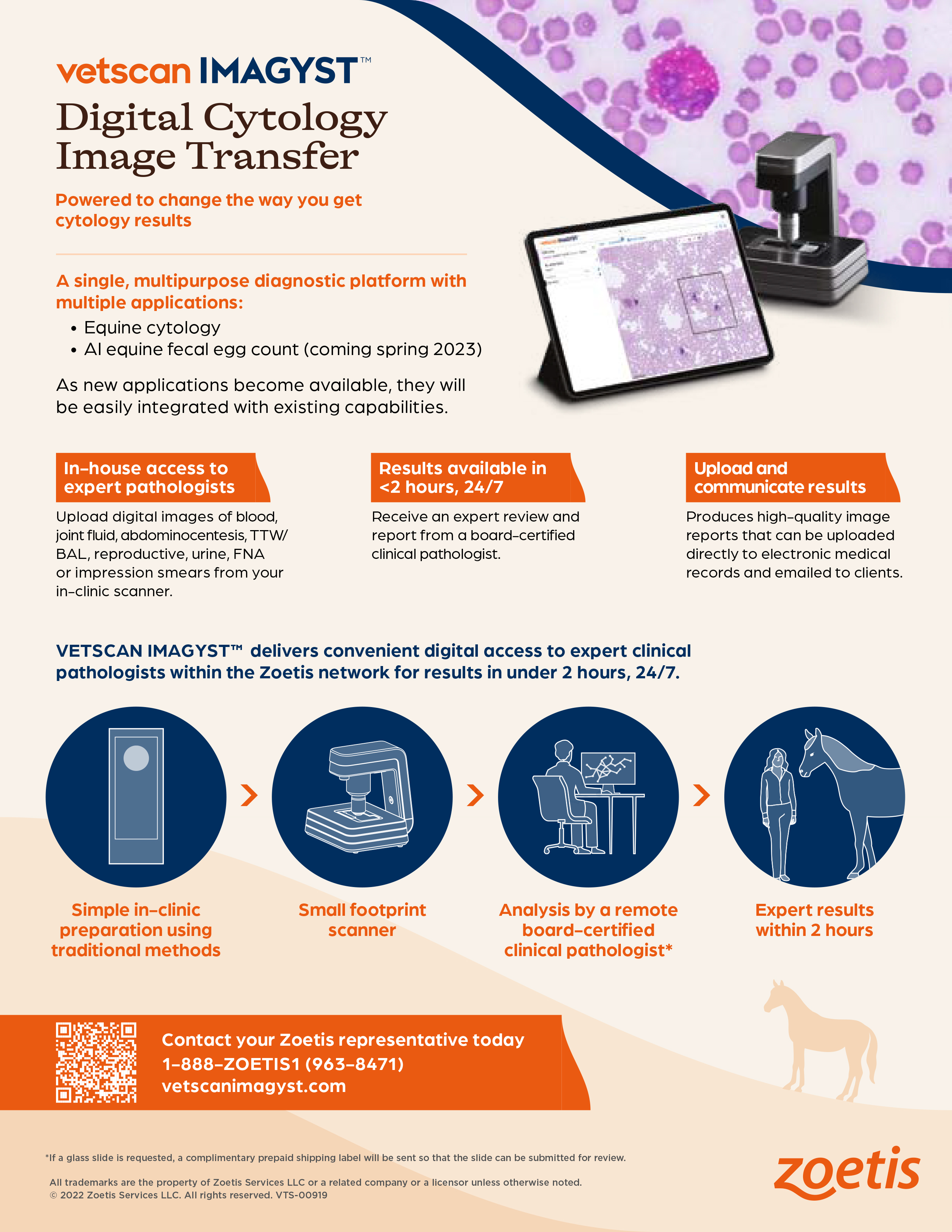 cytology-information-sheet