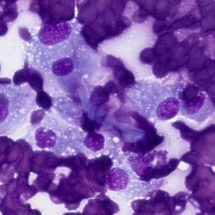 digital-cytology