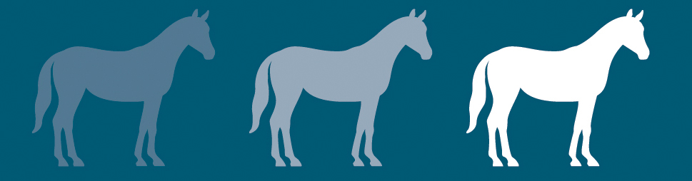 equine-banner